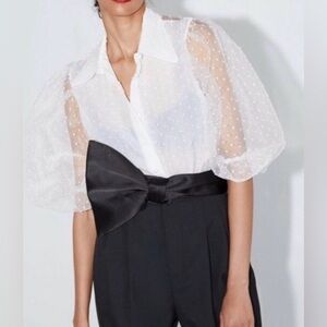 Zara sheer blouse small